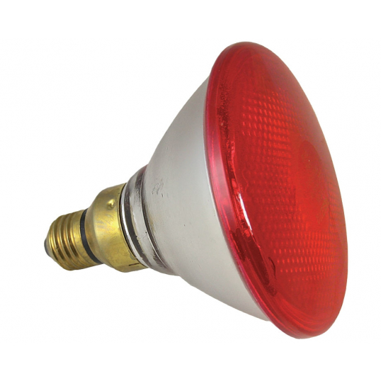 Lampe chauffante pour reptiles ESTINK - LED 25W - Lumière infrarouge 3.0 -  Filetage standard E27 - Cdiscount Electroménager