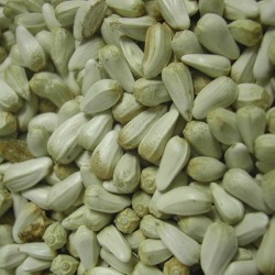 Exotic Nut Mix Mélange de Graine et noix pour Perroquet - Versele Laga