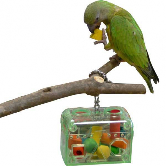 Boite à jouets pour perroquets : Qualitybird, jouet perruches et