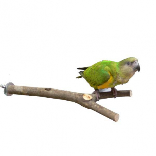Perchoir en bois pour oiseaux avec corde coton Kerbl - Chien