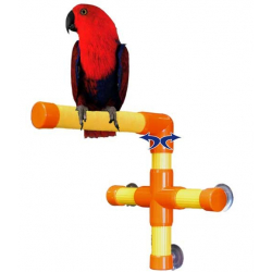 Perchoirs pour perruches et perroquets avec fixation par ventouse -  Qualitybird - la boutique de vos oiseaux
