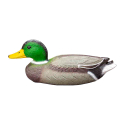 Canard Col Vert Polypropylène