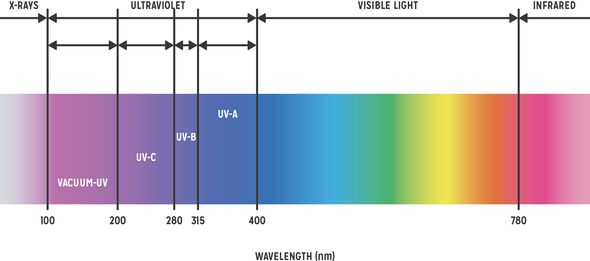 Ferguson zone UV oiseaux